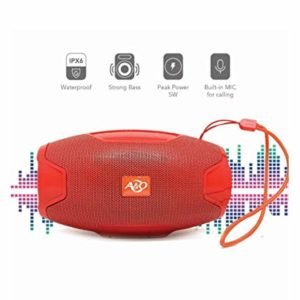 DS-106 BLUETHOOTH SPEAKER WITH TORCH