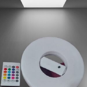 Multi Color Remote Ring Light